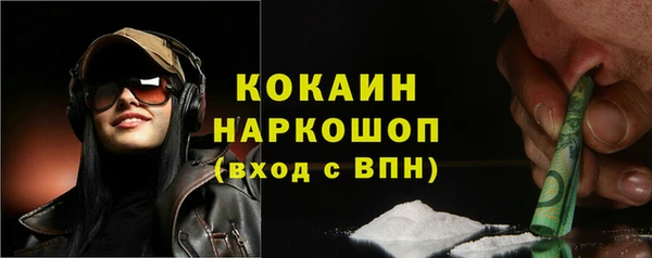 шишки Балабаново