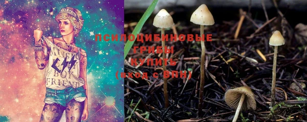 шишки Балабаново