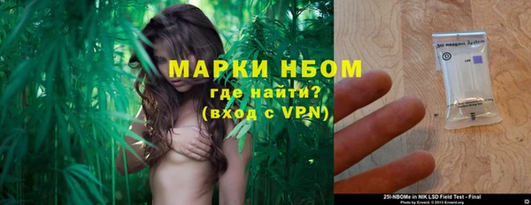 шишки Балабаново
