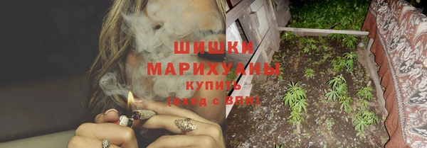 шишки Балабаново