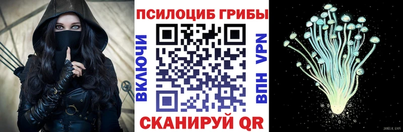 Купить  Вичуга  Псилоцибиновые грибы Psilocybe 